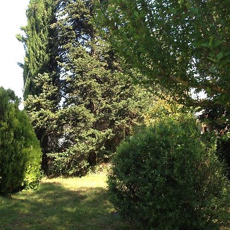 הוילה קסטיליון פיורנטינו Il Belvedere Di Roccavo מראה חיצוני תמונה