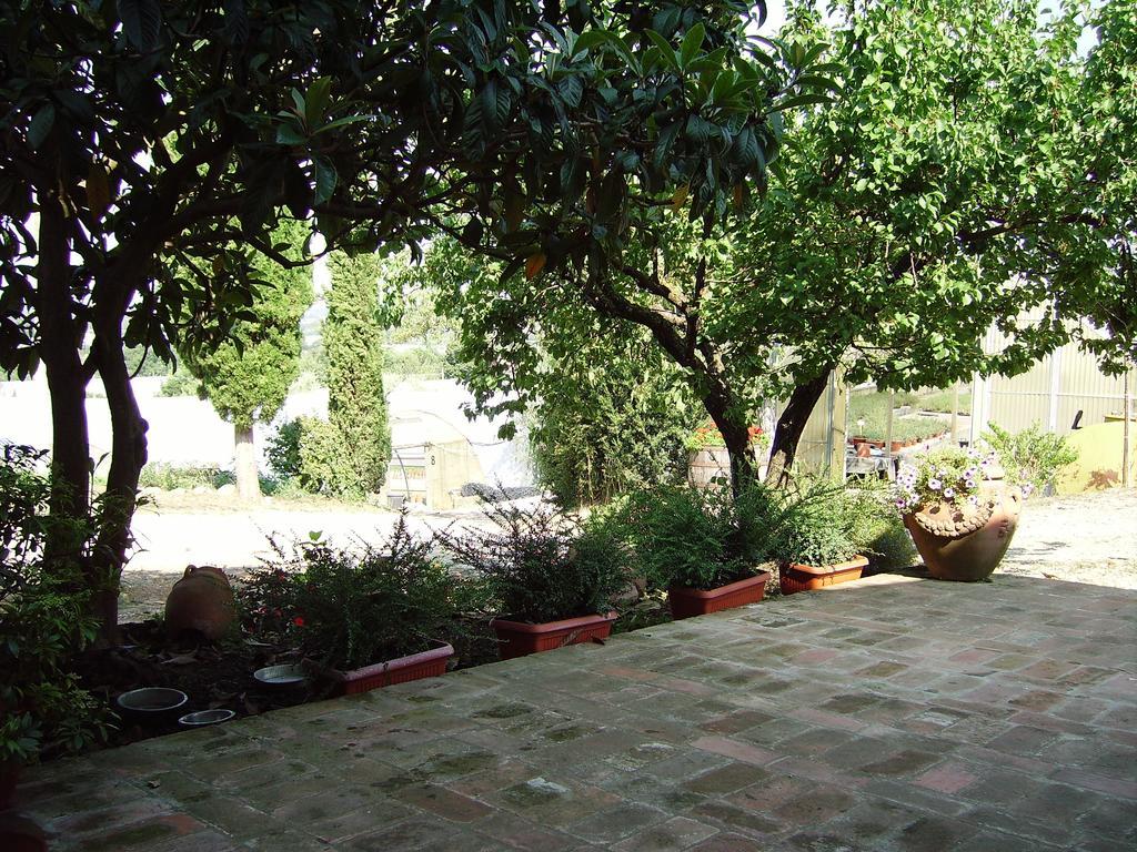 הוילה קסטיליון פיורנטינו Il Belvedere Di Roccavo מראה חיצוני תמונה