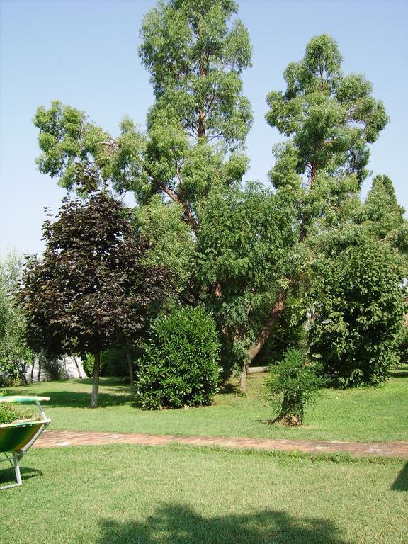 הוילה קסטיליון פיורנטינו Il Belvedere Di Roccavo מראה חיצוני תמונה