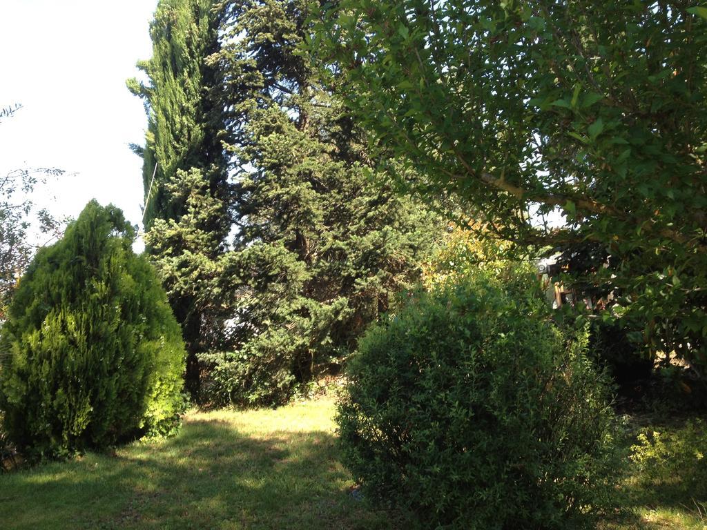 הוילה קסטיליון פיורנטינו Il Belvedere Di Roccavo מראה חיצוני תמונה